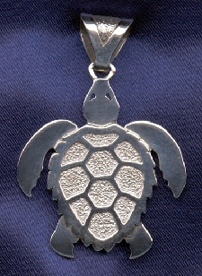 turtle reverse a_0.jpg